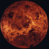 venus.gif (321256 bytes)