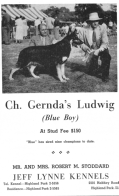blueboy.gif (64479 bytes)