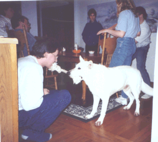 flyball8.gif (54270 bytes)