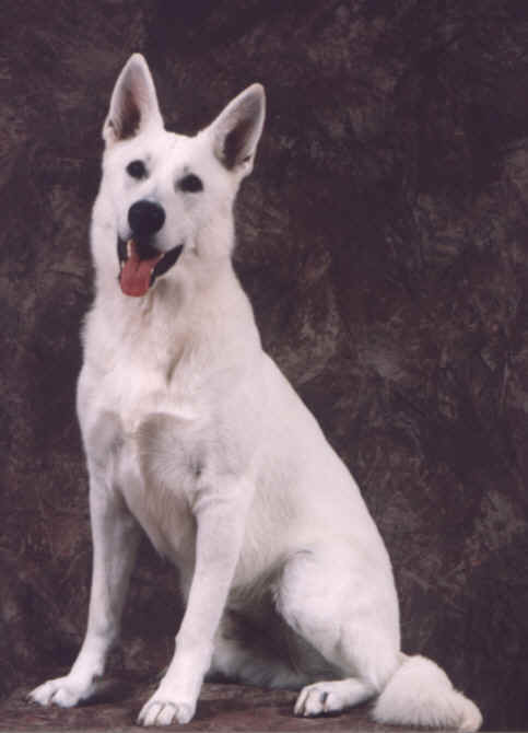 sittingq.jpg (115770 bytes)