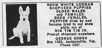 whitead.jpg (40539 bytes)