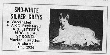 whitead3.jpg (42324 bytes)