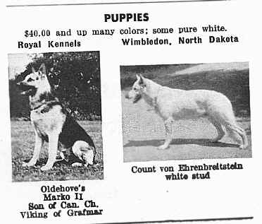 whitead5.jpg (63940 bytes)