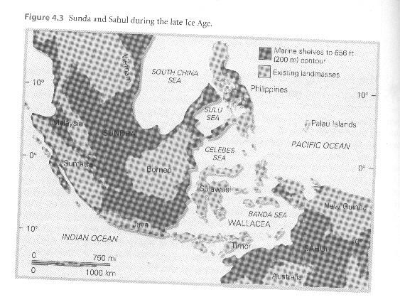 northern solomon