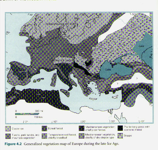 European Vegetation Map