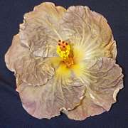 topazgl2.jpg (6034 bytes)