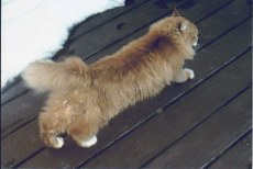 They should put up a sign that says:Slippery When Wet