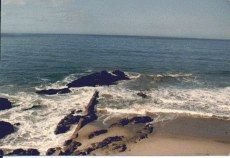 Now that is one big litter box.