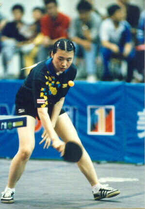 ta_wanghui.jpg (155944 bytes)