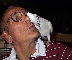 Ariel says good night