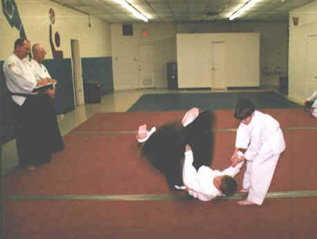 TJtest.jpg (37513 bytes)