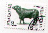 Bulgaria 3589