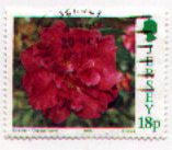 Great Britain Jersey 703