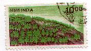 India 900