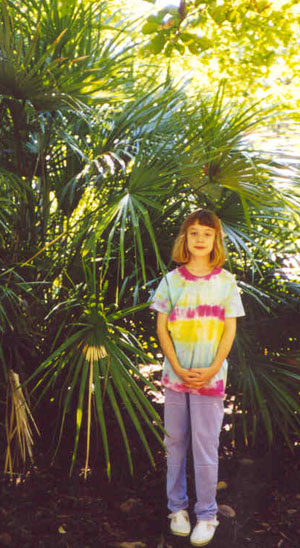 8' Needle Palm in Washington's National Arboretum