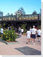 Animal kingdom