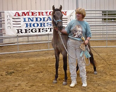 Virginia Brumley showing Brother Love, Champion Original at Halter and Champion Solid Color at the 1999 AIHR National Show