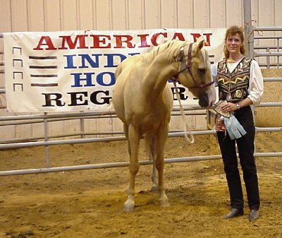 Lisa Germany showed Dusty Boy to the champion A titles at the AIHR National