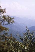 nc_mountains1thumbnail.jpg (13656 bytes)