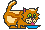 hungry kitty