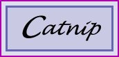catnip