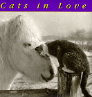 cats in Love