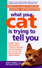 what's cat trying to tell you