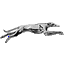greyhound