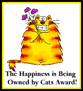 happiness being owned by cats