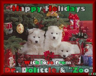 card from dr. doolittle