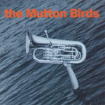 mutton birds