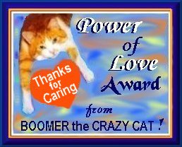 boomer's award