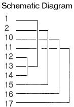 17 Pin Schematic Diagram