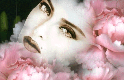 Rekha Pagephoto (Pink Peony)