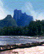 Autana. Fotografía de Morella Jiménez