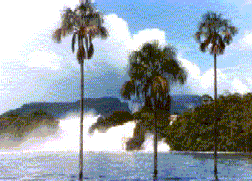 Laguna de Canaima. Fotograf�a de Morella Jim�nez