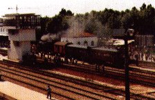 breves-pinhal.jpg (14138 bytes)