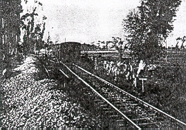 fig1.jpg (61583 bytes)