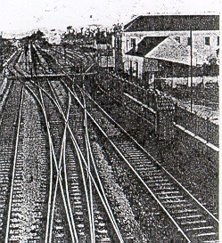 fig1.jpg (61583 bytes)