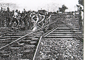 fig1.jpg (61583 bytes)