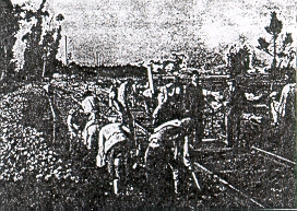 fig1.jpg (61583 bytes)