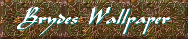 Bryde's Wallpaper