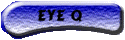 Eye Q