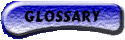 Glossary
