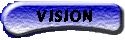 Vision