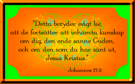 Johannes 17:3