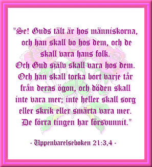 Uppenbarelseboken 21:3,4