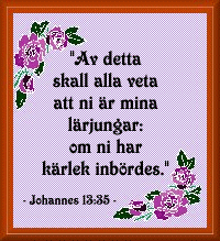Johannes 13:35