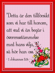 1 Johannes 5:14
