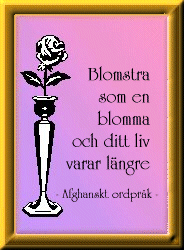 Blomstra som en ...